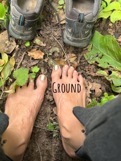 {"data":{"product":"tiktok"}}