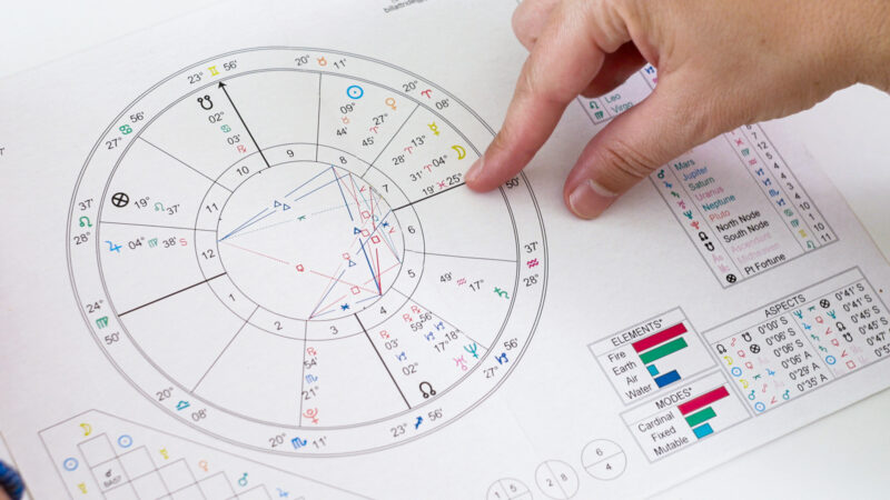 Path-Purpose-Web-Reel-V2.00_01_13_07.Still017 (2)