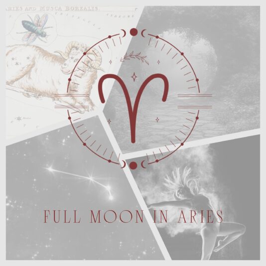 moon session article images