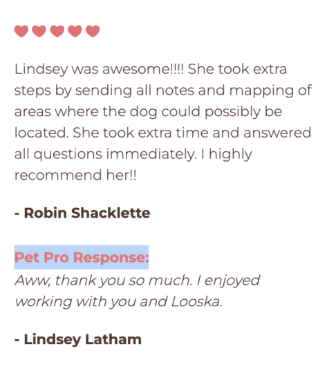 Screenshot 2024-03-30 at 12.31.21 PM