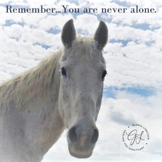 562551146_18532973905053150_1164164125538250722_n