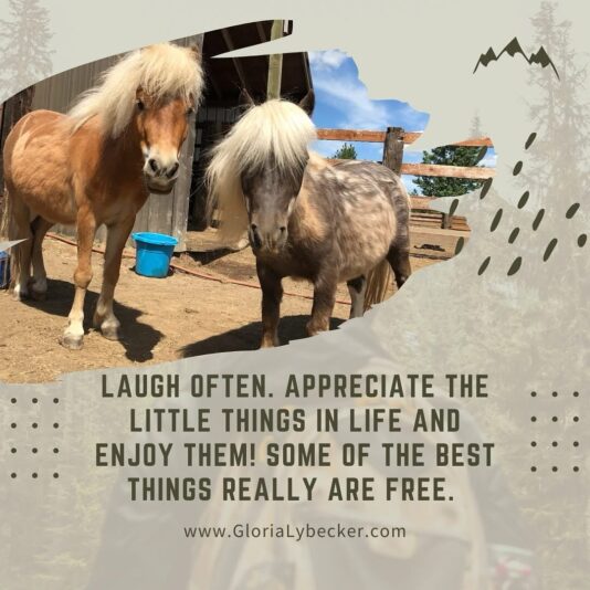 566823867_18534352138053150_8692945510019943077_n