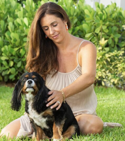 EnergyHealingForAnimals