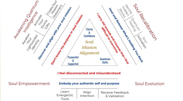 Soul Mission Alignment