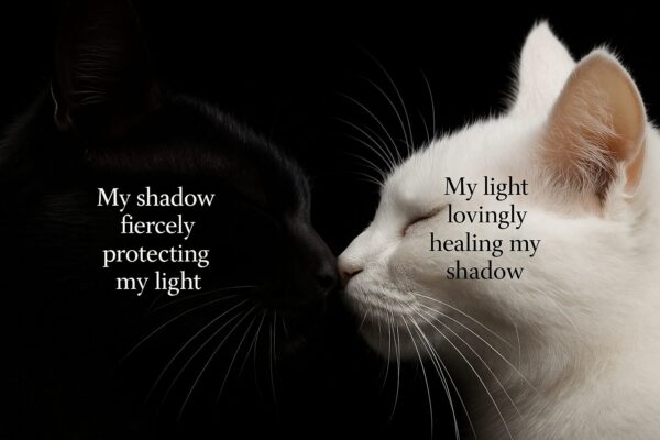 Toques de Afeto_ Gato Preto e Branco