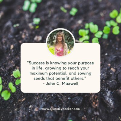 559005219_1646309266643738_7922194070741372679_n