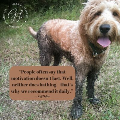 577465983_1674815647126433_437452863787187168_n