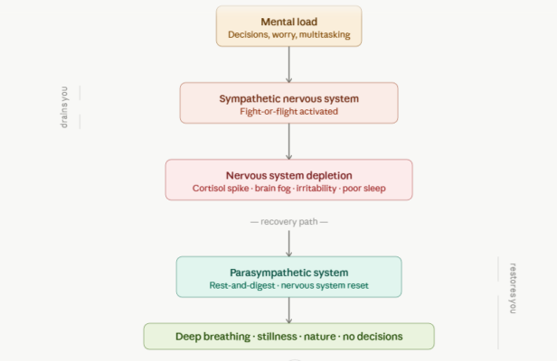 system