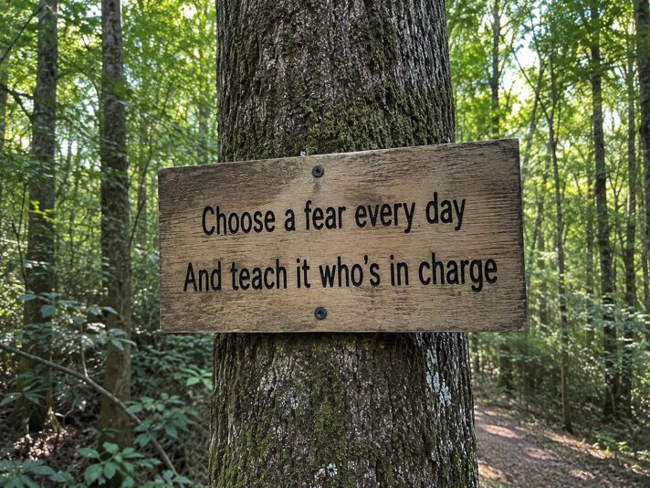 fear