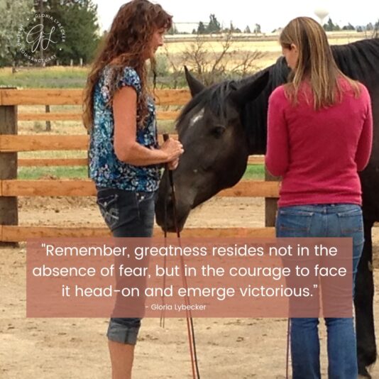 595747245_1699280044679993_4478107841626558130_n