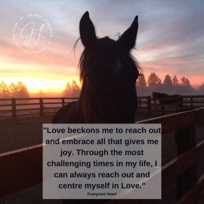 623371046_18553069216053150_504510404002780307_n