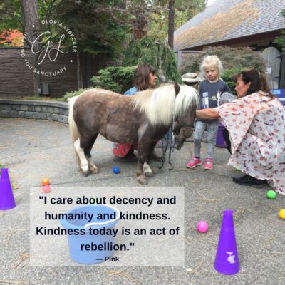 619054761_1740930250514972_4081082300599854892_n