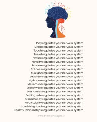 nervous system