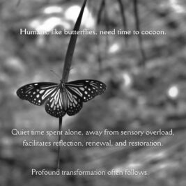 If the signt of the blue skies