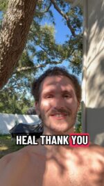 82c277e659c24ff998c610472a8d9393