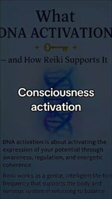 WhatsApp Video 2025-12-13 at 00.51.32