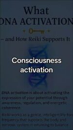 WhatsApp Video 2025-12-13 at 00.51.32