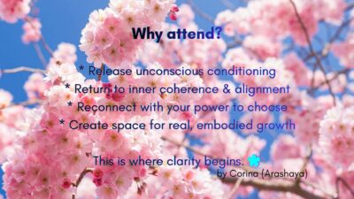 The Power to Choose Breaking Free from Conditioning