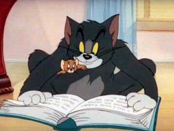 WhatsApp Video 2025-10-28 at 00.07.31