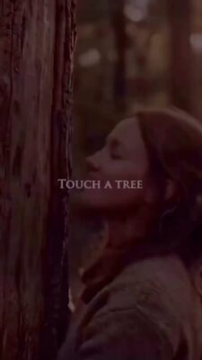 Video-431
