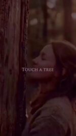 Video-431