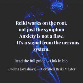 WhatsApp Video 2026-01-23 at 20.01.43