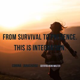 WhatsApp Video 2026-01-28 at 21.29.32