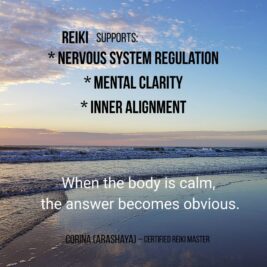 WhatsApp Video 2026-02-01 at 20.35.02