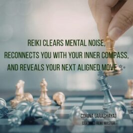 WhatsApp Video 2026-02-02 at 21.48.52