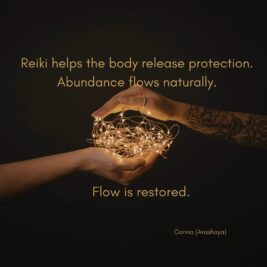 WhatsApp Video 2026-02-12 at 22.26.55