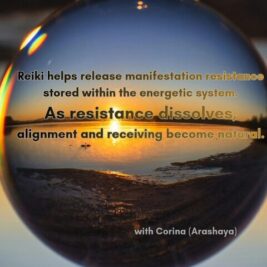 WhatsApp Video 2026-02-14 at 22.06.13