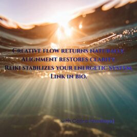 WhatsApp Video 2026-02-16 at 00.17.46 (1)