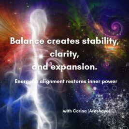 WhatsApp Video 2026-02-17 at 17.31.52