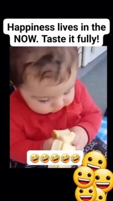 FB_VID_5081101080084351485