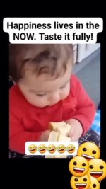 FB_VID_5081101080084351485