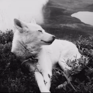 Profile photo of Danielle Jones