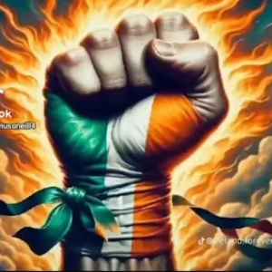 Profile photo of John Roberts