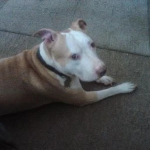 Profile photo of Matthew Davis