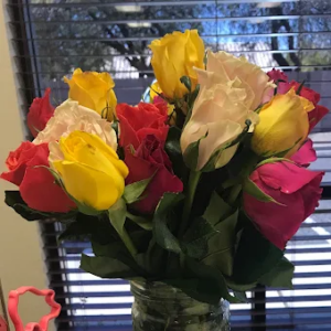 Profile photo of Alisha Aschmann