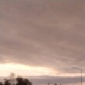 Profile photo of Diarra Scott