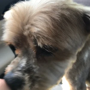 Profile photo of Kyla Schmidt